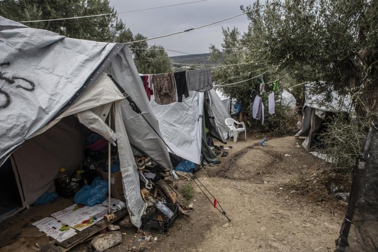 Olive grove, où se sont installées de nombreuses familles, se trouve à proximité du camp de Moria. 30 000 personnes y vivent, alors que la capacité d'accueil du camp est de 3 000. Lesbos, octobre 2019.
 © Anna Pantelia/MSF