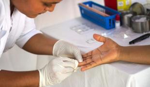Test de diagnostic rapide de la maladie de Chagas au Mexique en août 2014.