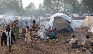 %MSF Ouganda RDC refugies