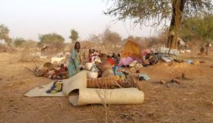 Tissi : une famille vient d'arriver du Darfour