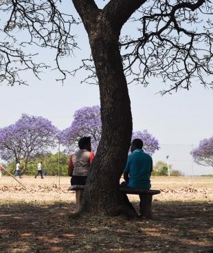 Séance de conseil dans la cour de l'unité psychiatrique. À l'hôpital psychiatrique de Harare, au Zimbabwe, l'équipe fournit des traitements et des soins aux patients atteints de maladie mentale. L'équipe offre également un soutien psychologique aux patients, aux parents et aux autres membres de la famille.