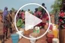 Journal du mois de mai : Malawi, Jordanie, Soudan du Sud, Kala Azar