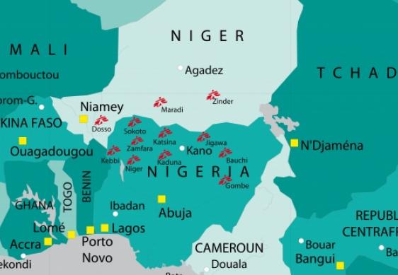 comment soigner meningite