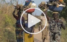 République Centrafricaine (RCA) : José Antonio BASTOS, président de la section espagnole de MSF : “Nous parlons de crises successives en RCA”