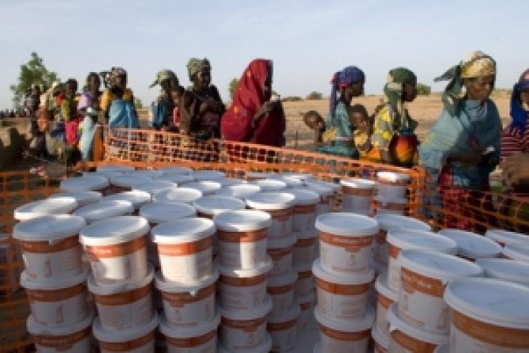 Distribution préventive de Plumpy'doz un complément nutritionnel dans la région de Maradi au Niger juin 2008.