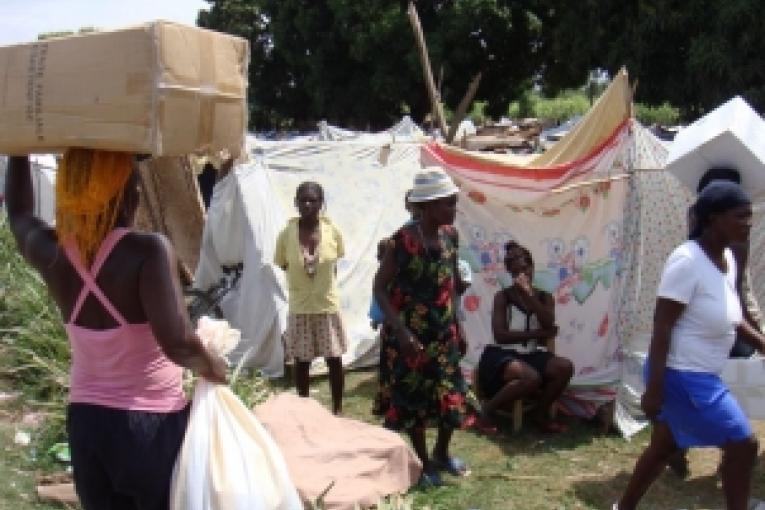 Distribution de tentes par MSF dans un camp à Léogâne.