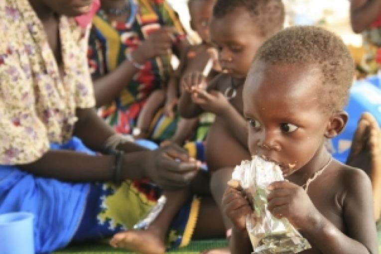 Un CRENI (centre de réhabilitation et d\'éducation nutritionnelle intensive) au Niger Juillet 2010
