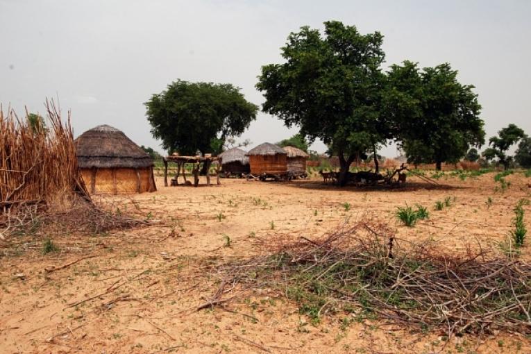 Region de Zinder : l\'équipe MSF est partie de Magaria pour visiter Bakadougou l\'un des 85 villages de l\'aire de santé de Dan Tchiao.
Claude Mahoudeau / MSF