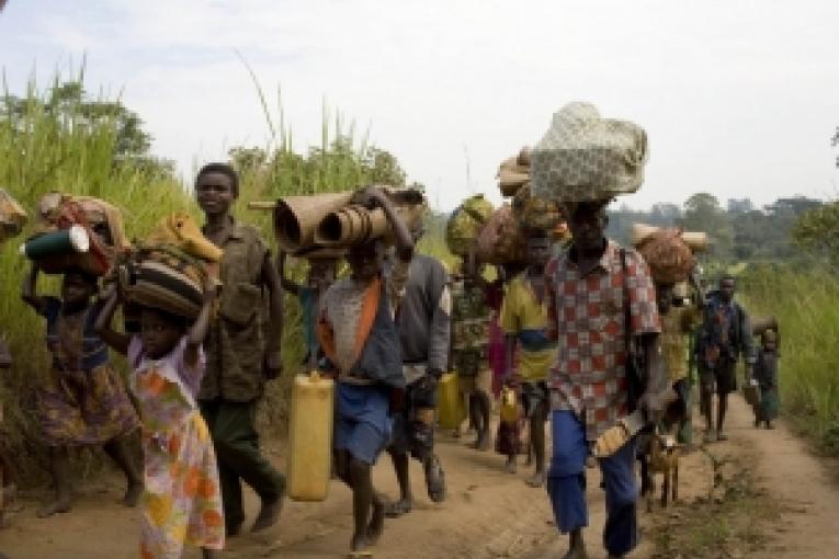 Reprise de la guerre au Nord Kivu (RDC). La communauté internationale n'apporte pas l'aide appropriée à la population et n'assure pas sa protection.