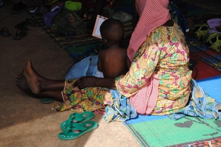 Déjà touché par une crise alimentaire et nutritionnelle sévère le Niger est confronté cette année à une importante épidémie de paludisme. Entre janvier et fin septembre 2010 plus de 2 300 000 cas avaient déjà été enregistrés dans le pays. H