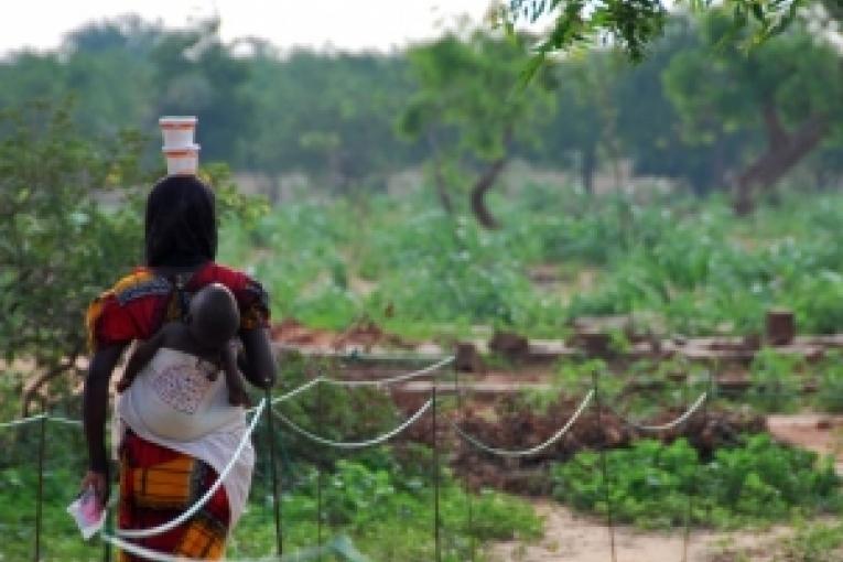 Médecins Sans Frontières (MSF) et ses partenaires nigériens ont déjà pris en charge 77 000 enfants sévèrement malnutris au Niger cette année et distribuent actuellement des suppléments alimentaires à environ 143 000 enfants en bas âge. Pour fai