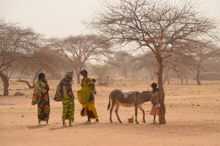 Afin de répondre aux besoins de réfugiés maliens vulnérables MSF soutient des centres de santé au Burkina Faso notamment à Gandafabou et à Férrerio. Avril 2012