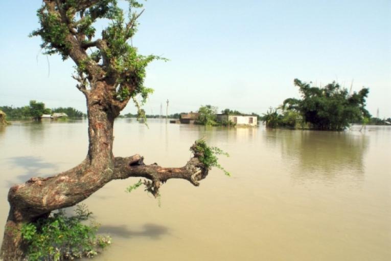 Le 18 août d'intenses pluies de mousson ont entraîné la rupture d'une digue sur la rivière Kosi entraînant d'importantes inondations dans le sud du Népal et dans l'état du Bihar en Inde. Diego Martin Ureta Moran / MSF