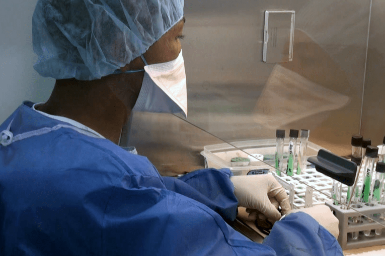 laboratoire mise en culture des echantillons de crachats