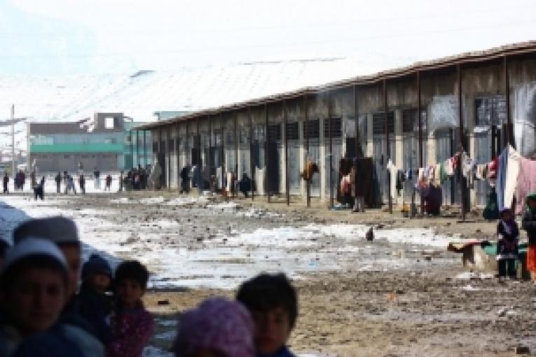 Des centaines de familles ont fui les combats dans la province de Kapisa et se sont installées à Baghrami market est de Kaboul.
