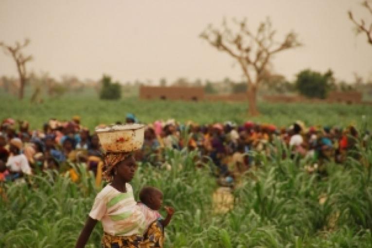 Distribution d'aliments supplémentaires prêts à l'emploi par MSF et Forsani dans le district de Madarounfa au Niger  Juillet 2010