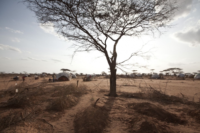 Dans le camp de Dadaab au Kenya