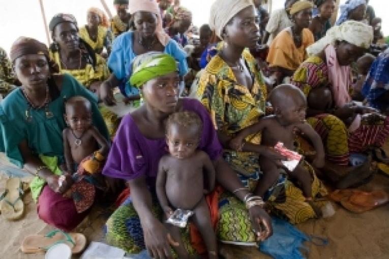 Niger juin 2008. Depuis le début de l'année MSF a pris en charge 14 000 enfants dans ses centres nutritionnels thérapeutiques.