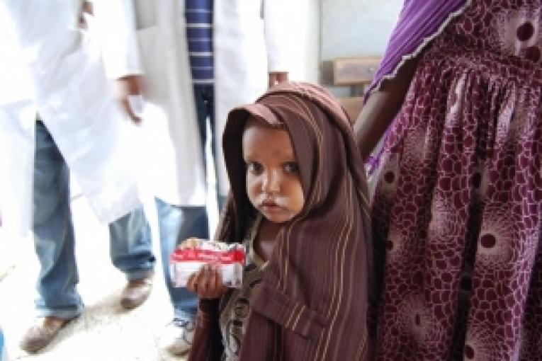 MSF demande au G8 de rendre disponible les fonds nécessaires pour offrir gratuitement les produits nutritionnels adaptés aux besoins des enfants malnutris. Lire notre dossier de presse.