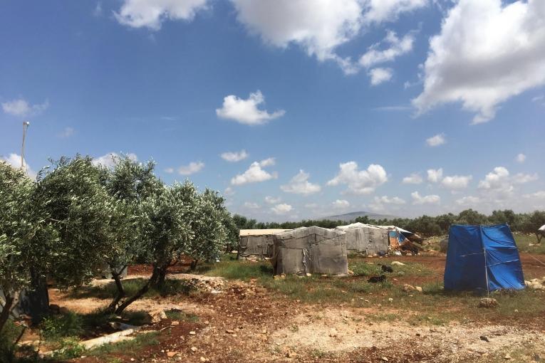 Des tentes de fortune sont installées au milieu d'une oliveraie aux abords d'un camp de personnes déplacées d'Idlib. Syrie. 2018.