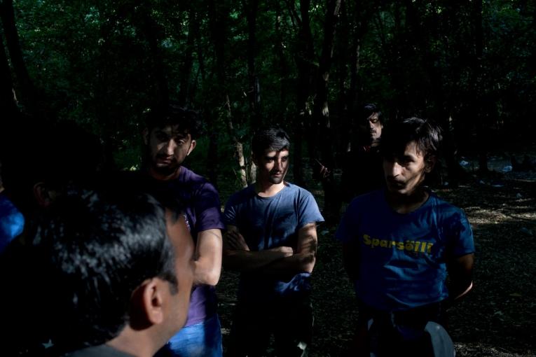 Un groupe de réfugiés dans une forêt à proximité du village d'Adasevci. Serbie. Juillet 2017.