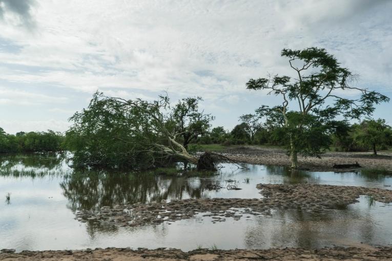 Destructions à proximité de la ville de Buzi. Mozambique. 2019.