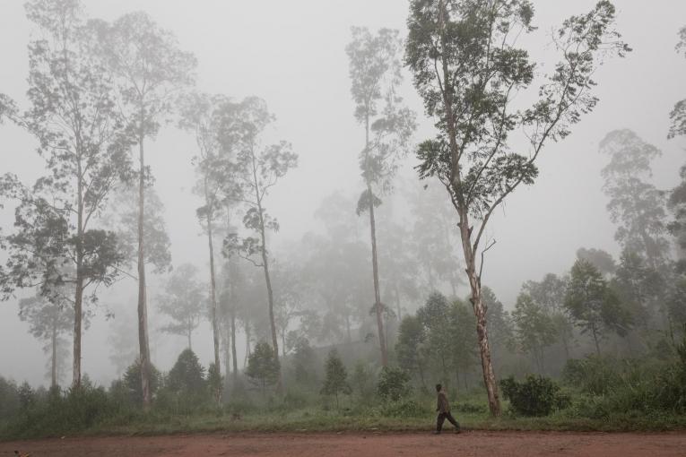 DRC Mweso North Kivu July 2011