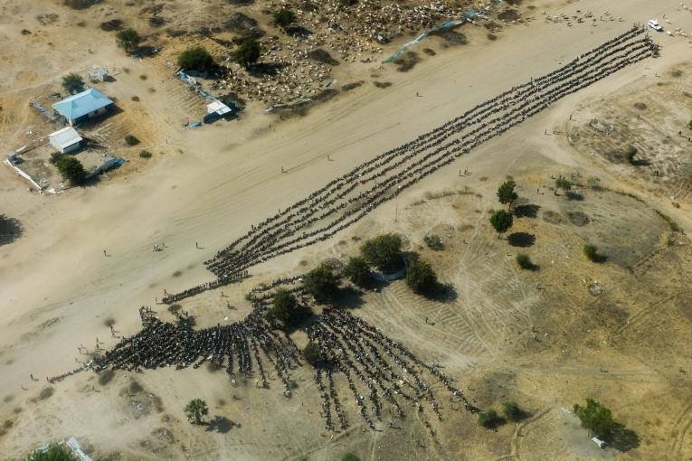 Des milliers de Sud-Soudanais faisant la queue pour une distribution dans la ville de Leer, dans l'État d'Unité, en 2015. Le conflit qui oppose depuis 2013 l’armée sud soudanaise à des groupes d’opposition a provoqué le déplacement de plusieurs millions de Sud-Soudanais.