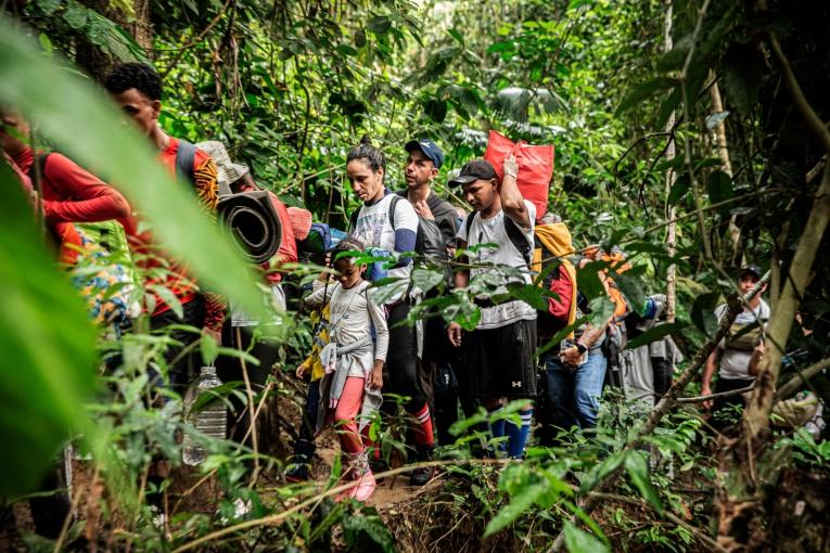 De janvier à Novembre 2023, près d'un demi million de migrants ont traversé la jungle du Darien, entre la Colombie et le Panama.