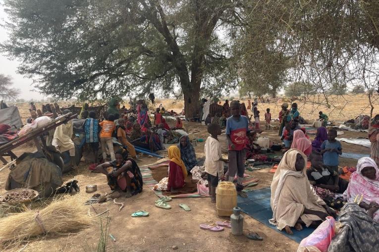 New displacement from Zamzam