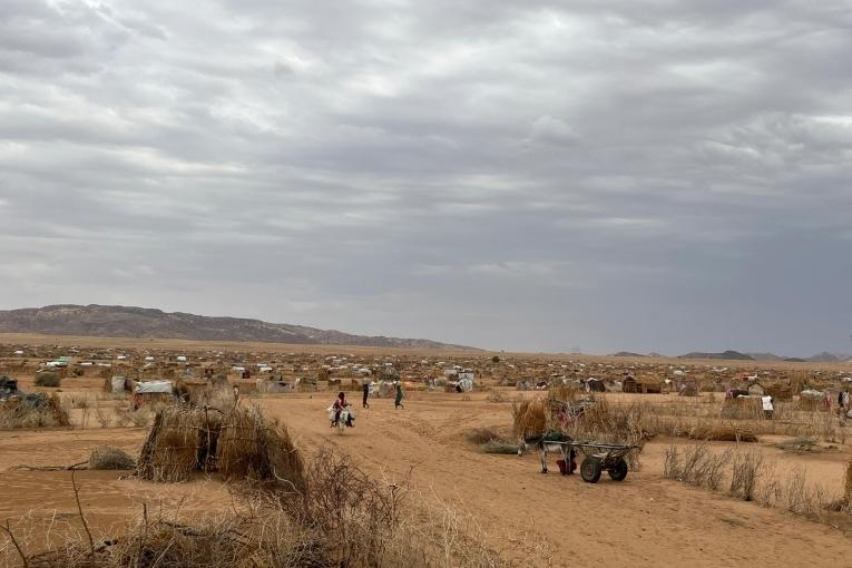 Le camp de Dabanaira, l'un des nouveaux camps où les personnes fuyant El Fasher ont trouvé refuge.Tawila, Darfour-Nord, Soudan, le 28 juin 2025.