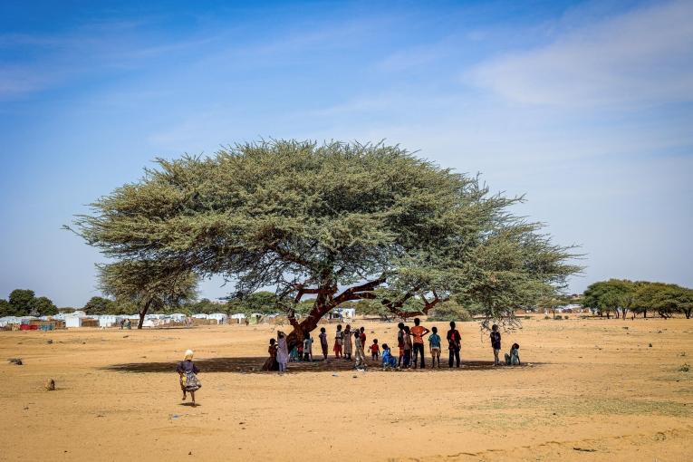 Des réfugiés soudanais de la ville d'El Fasher, Tchad décembre 2025