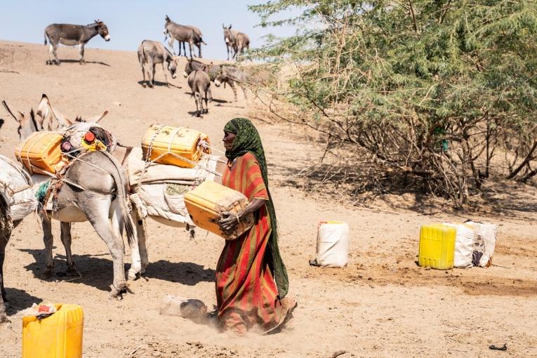 Au-delà des routes : l’acheminement d’eau et de nourriture dans les régions reculées d’Éthiopie