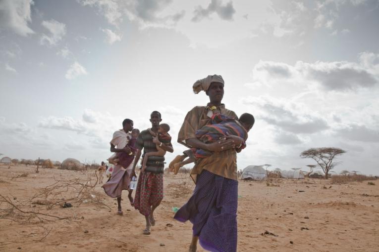 Des réfugiés somaliens continuent d'arriver chaque jour dans le camp surpeuplé de Dadaab dans le nord du Kenya. Ils fuient la violence du conflit en Somalie les effets dévastateurs de la sécheresse et le manque de nourriture. Médecins Sans Frontièr