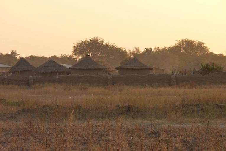 Mali Janvier 2011.