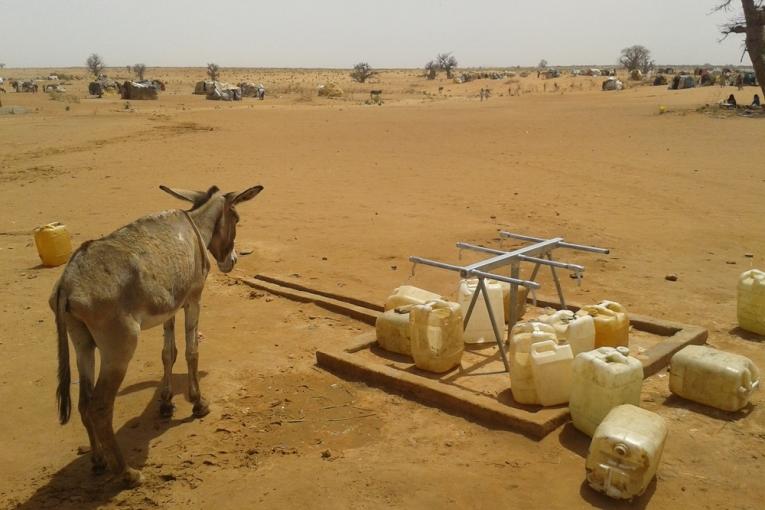 MSF auprès des déplacés de El Sireif dans le Darfour Sud