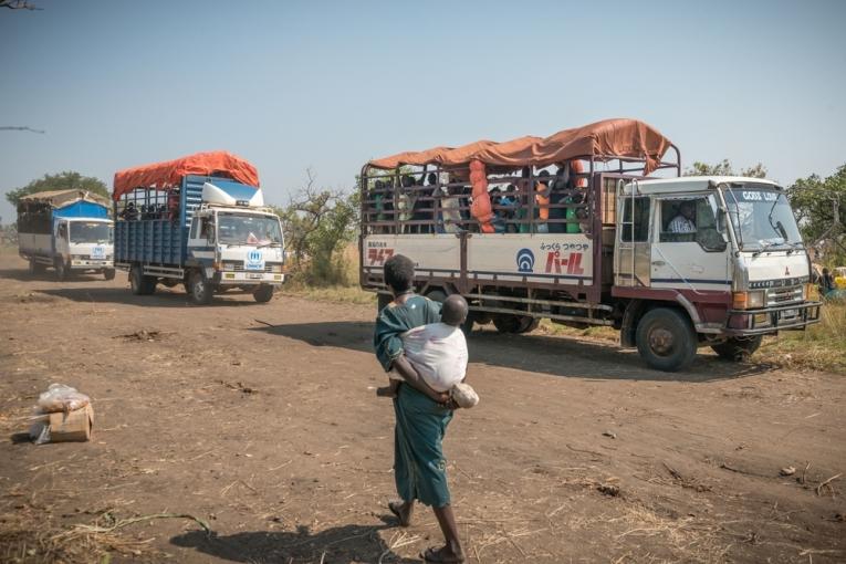 Les réfugiés arrivent dans leur campement tôt dans la matinée et ont moins d’un jour pour s’installer. Ils sont assistés par les autorités et les organisations humanitaires internationales.