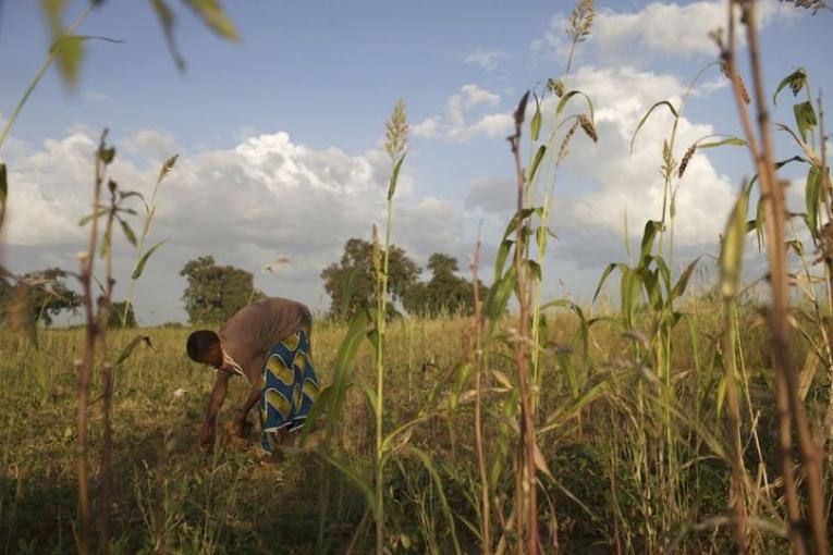 Malnutrittion au Burkina