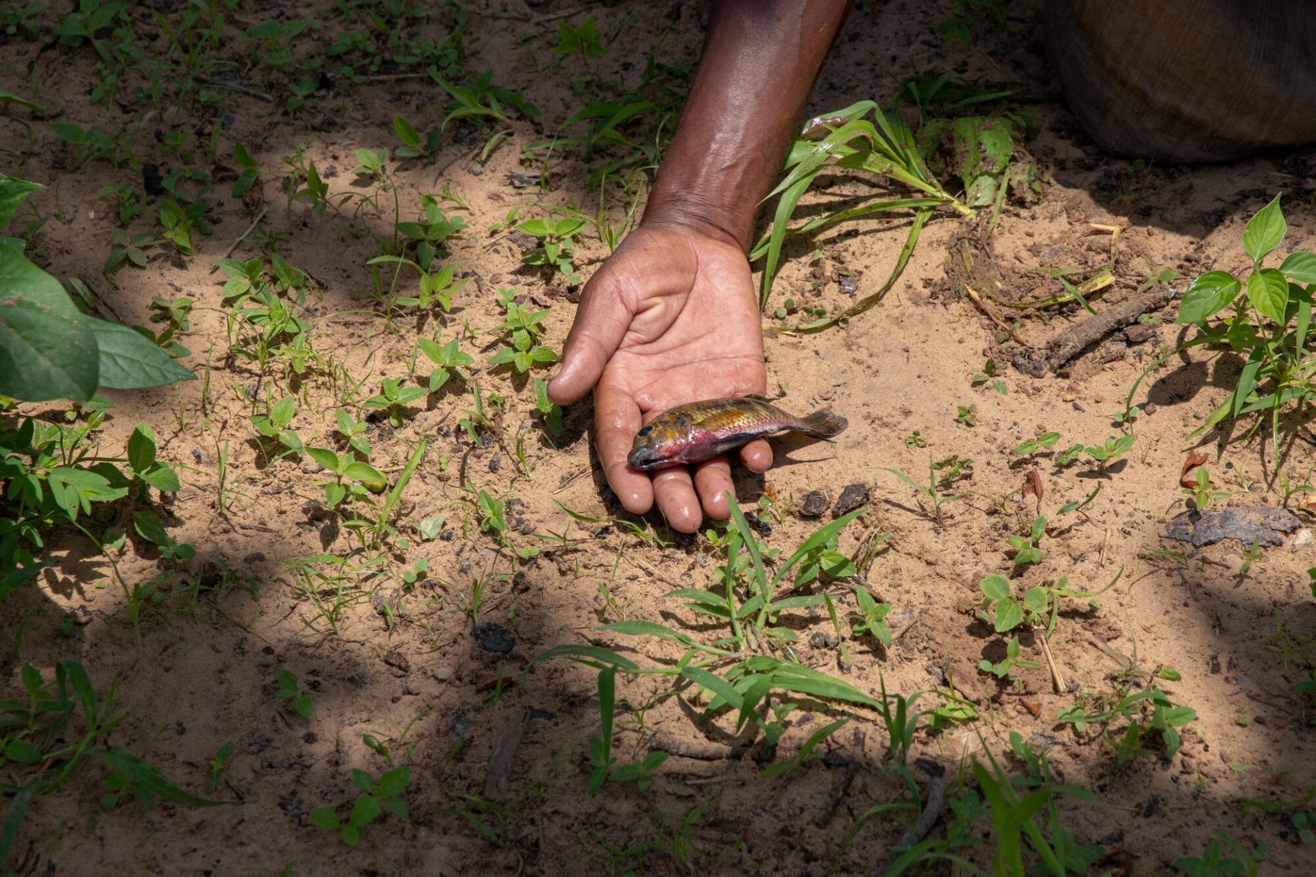 Au Niger, des étangs d’eau sont mis à disposition des pêcheurs pour qu’ils puissent attraper et vendre du poisson, afin d’assurer leurs revenus. Dans la région, le changement climatique a un impact sur la production de nourriture et les maladies infectieuses comme le paludisme. 