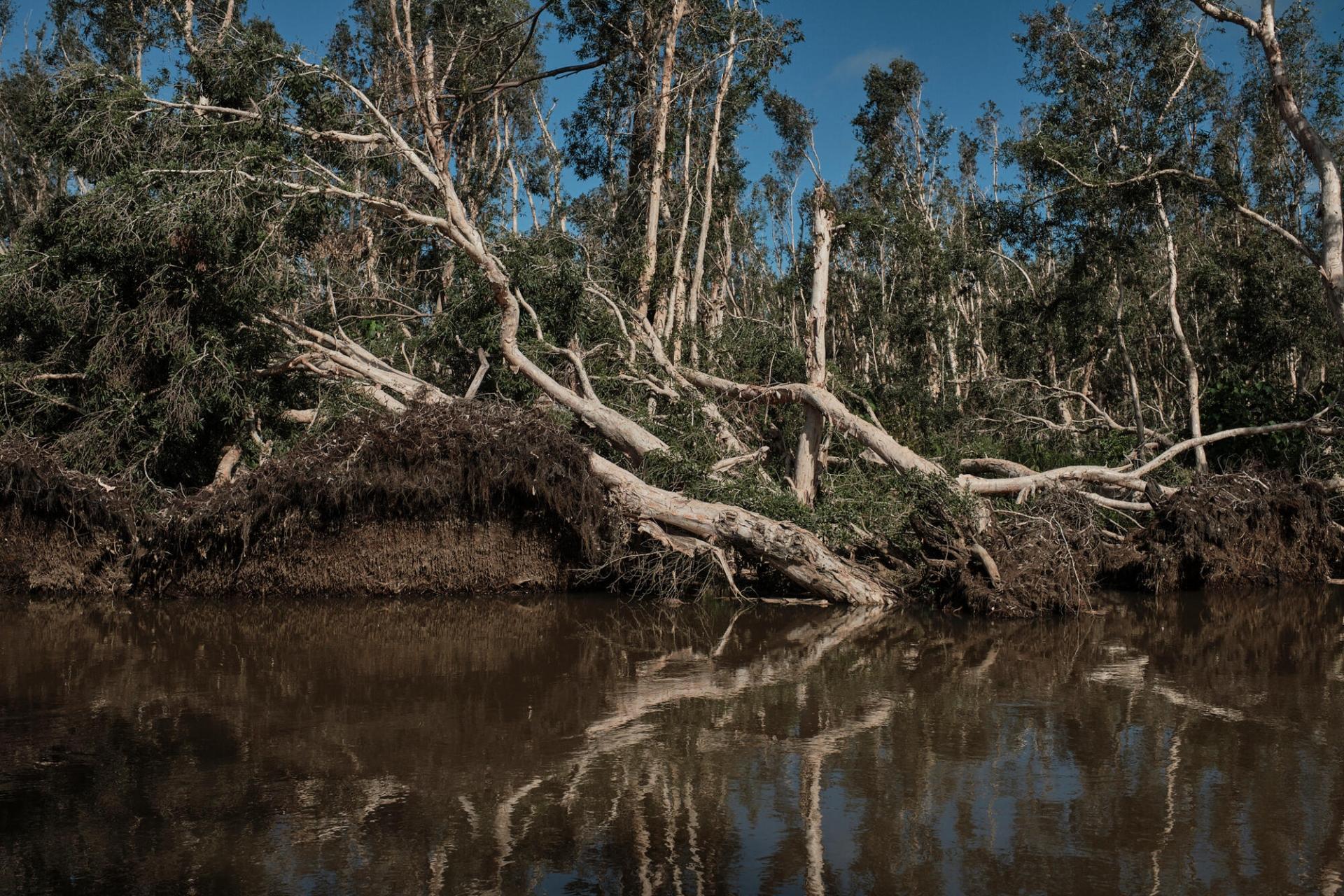 Vue des côtes près de Nosy Varika, dans le sud de Madagascar, après le passage des cyclones Batsirai et Emnati en février 2022.  Madagascar, mars 2022