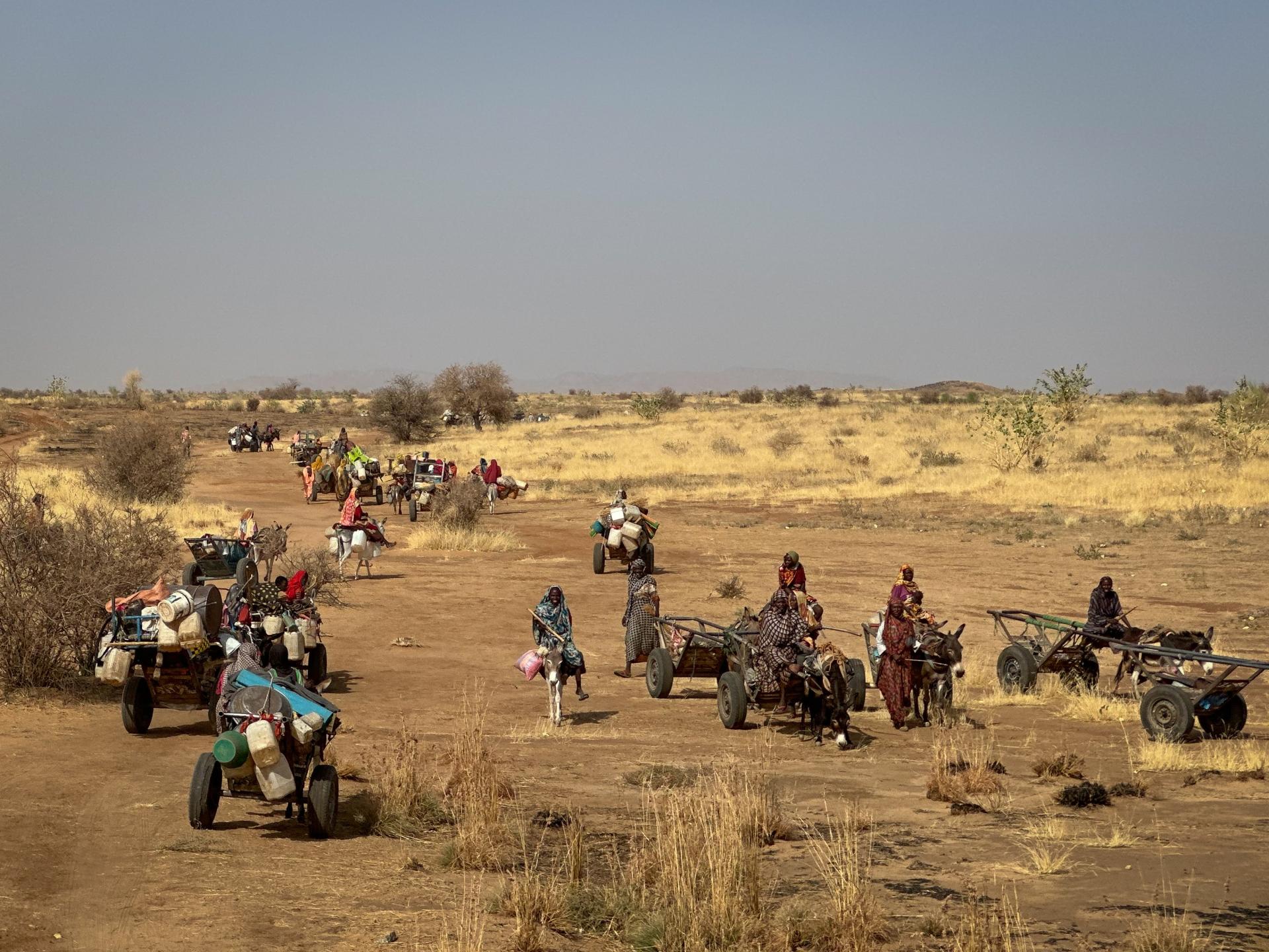 Des personnes déplacées par les combats à El Fasher arrivent à Tawila, Darfour du Nord, Soudan, juin 2024.