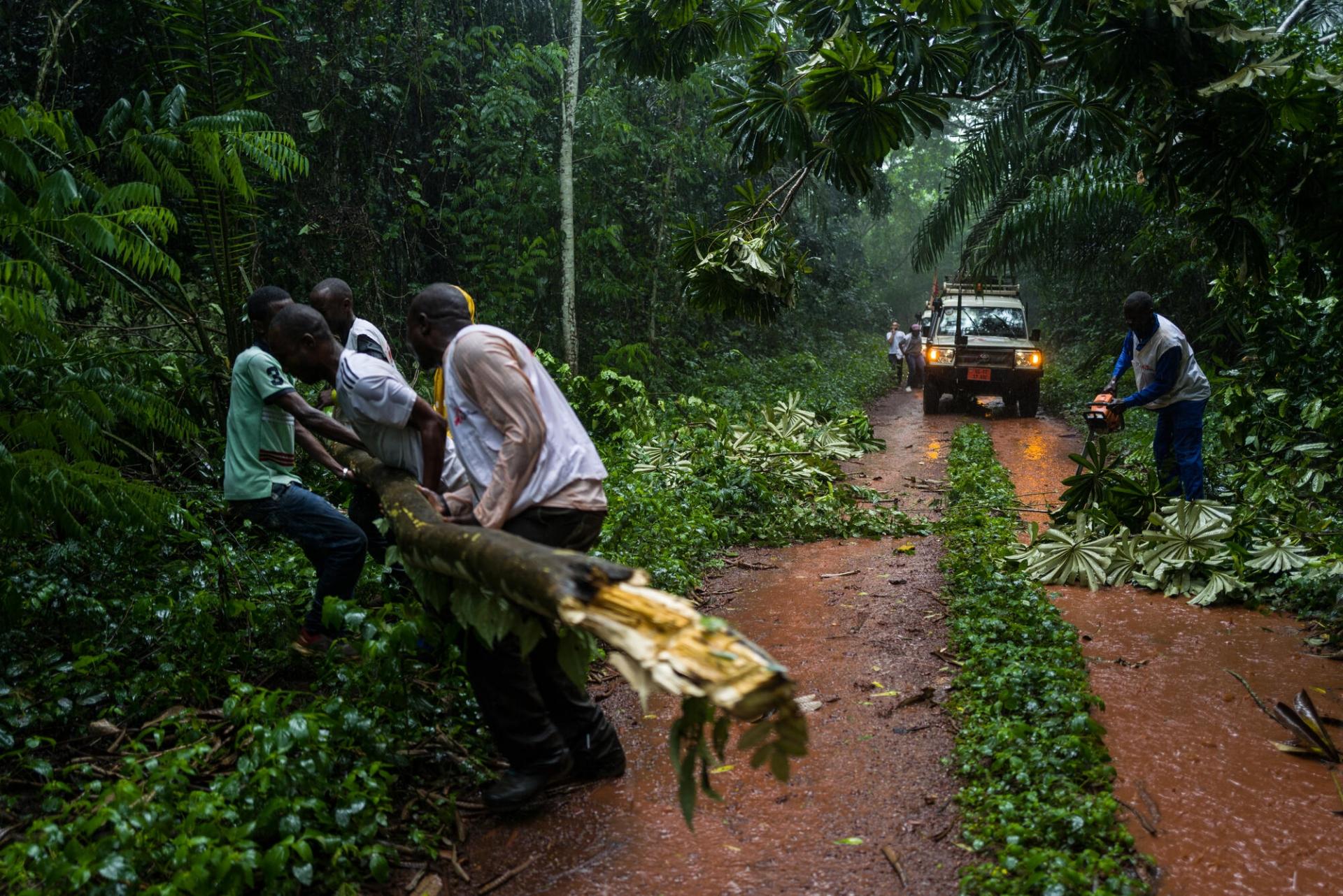 Les équipes MSF dégagent les arbres qui obstruent la route entre Bangassou et Bakouma, pour se rendre à Nzacko. Juillet 2021.