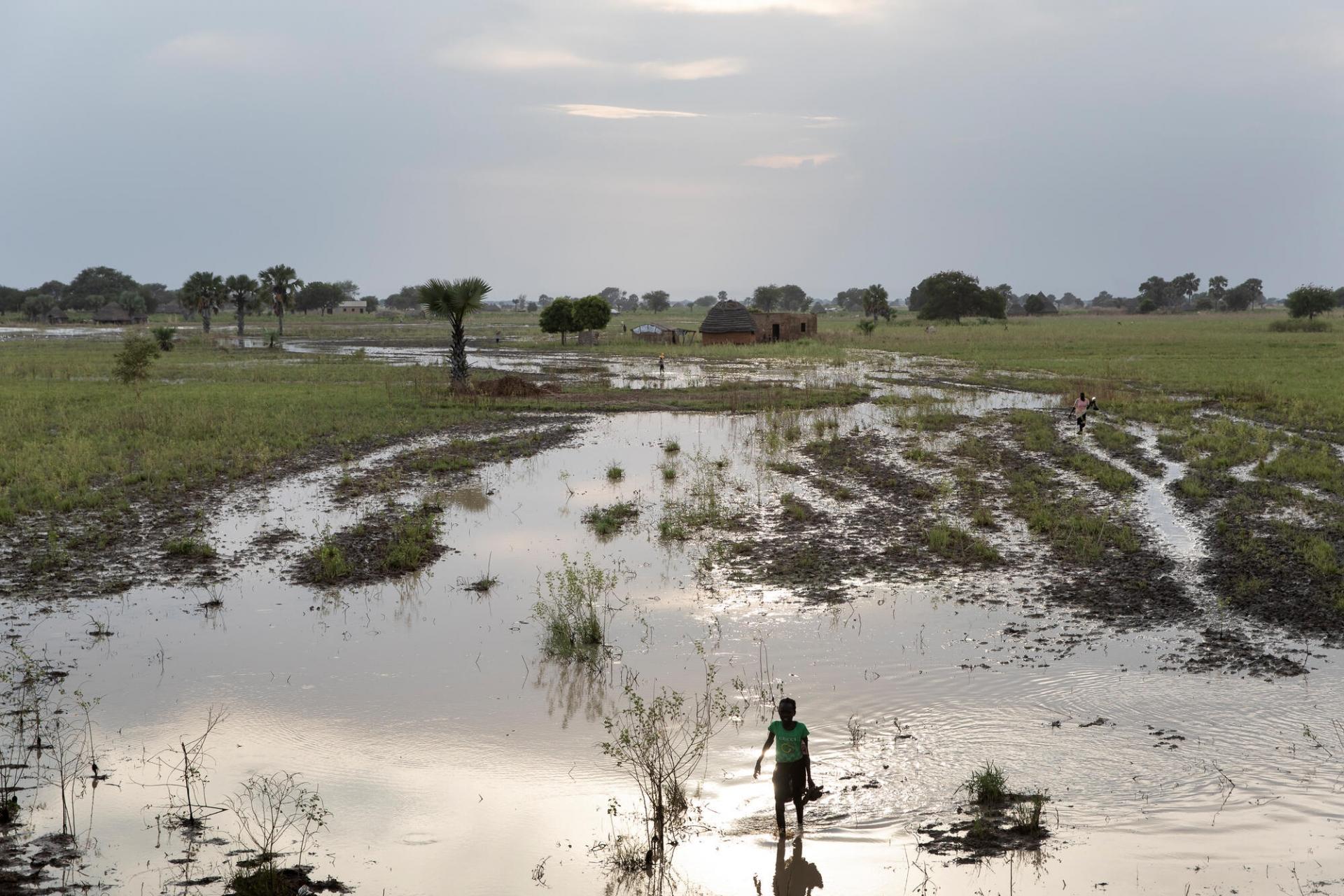 Une fillette marche dans une zone inondée aux abords de la ville d'Aweil. Octobre 2021.