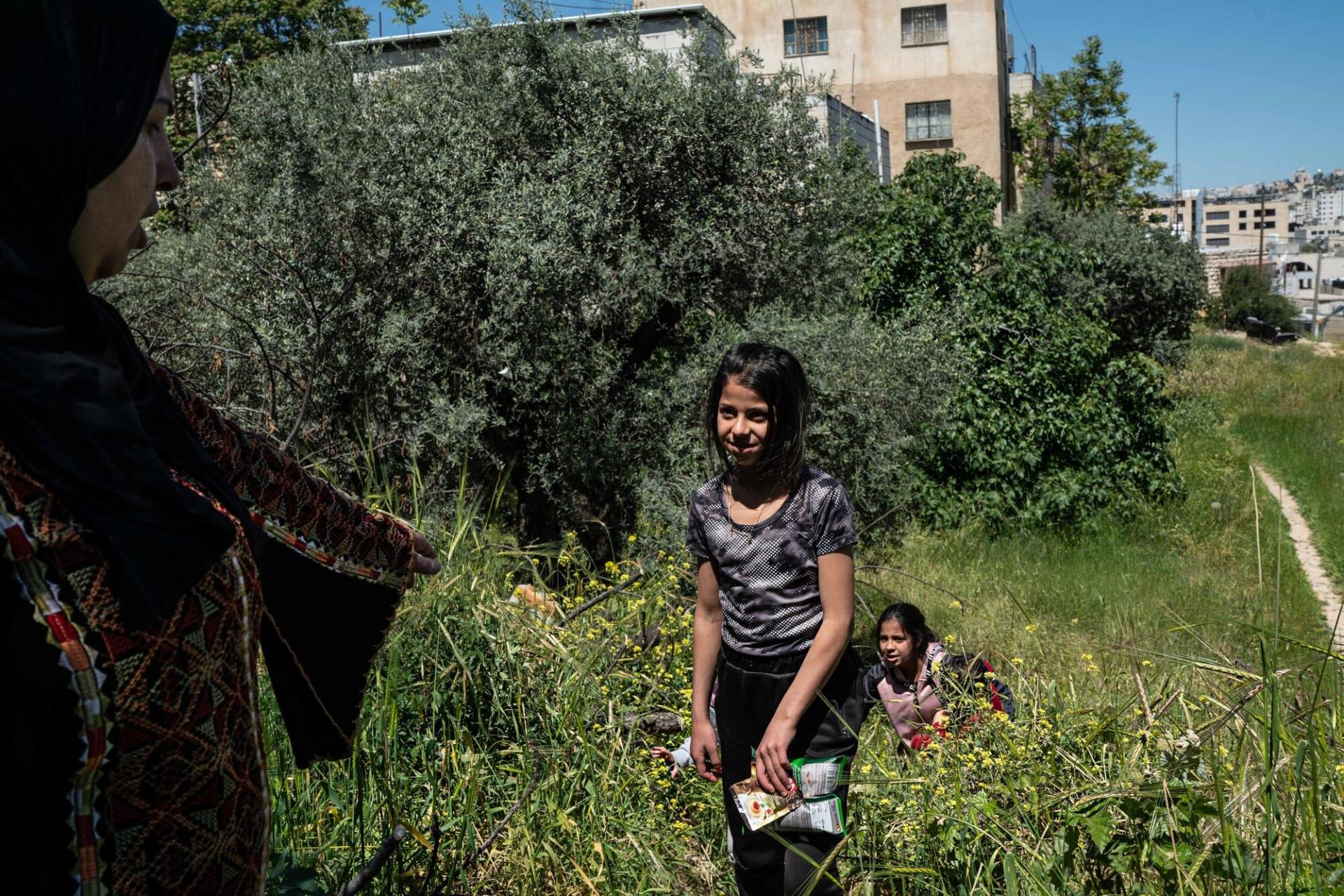 Settlers violence in Hebron