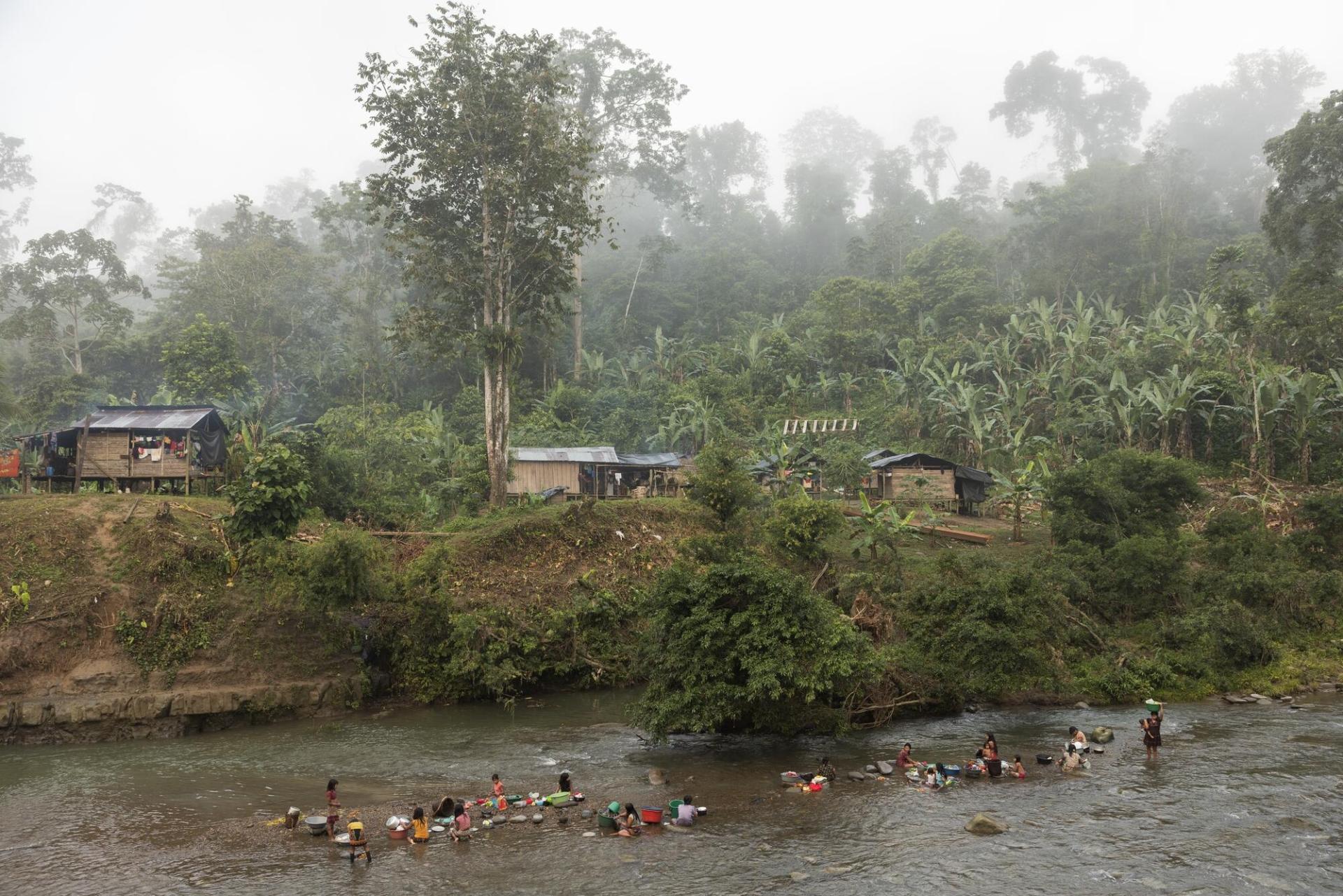 Vue des abords du fleuve Baudó, crucial pour les communautés locales, aussi bien pour le transport que pour la pêche.