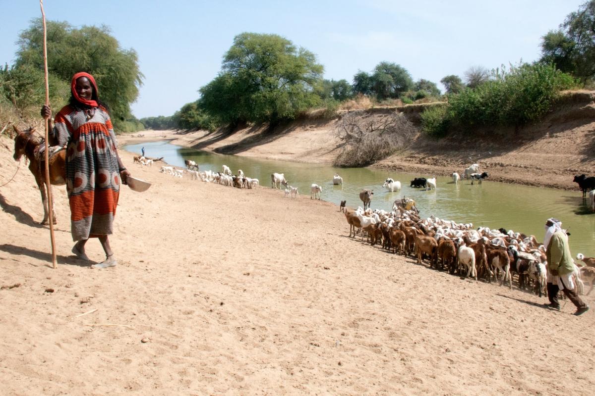 Cette rivière représente la principale source d'eau utilisée par la population autour du village de Siebe.
 © Abdoulaye Barry