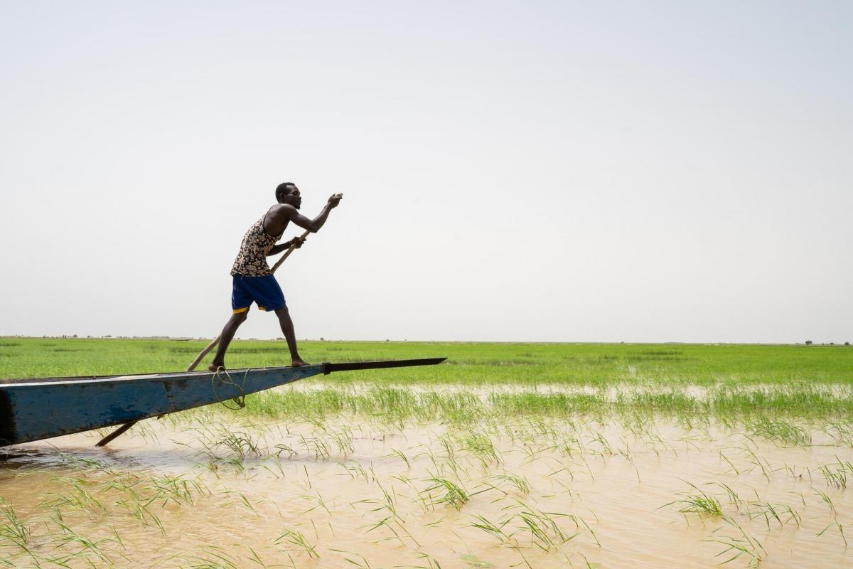 © Mohamed Dayfour/MSF
