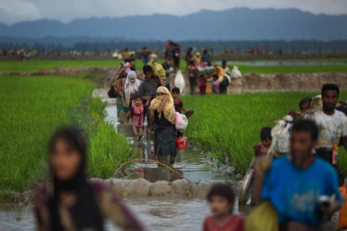 Une famille rohingya atteint la frontière entre le Myanmar et le Bangladesh, dans le district de Cox Bazar.
 © Bernat Armangue/AP Photo