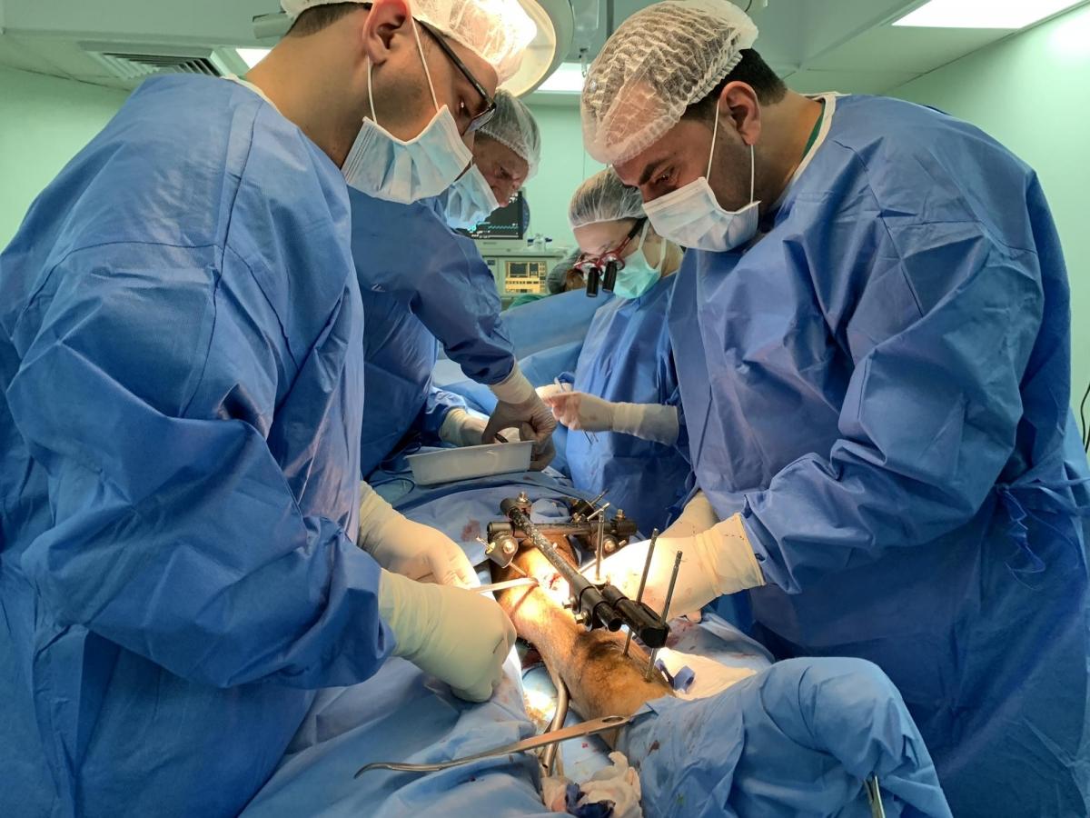 Les chirurgiens MSF&nbsp;Hiroko Murakami, Mohammed Obaid et Henri Vandenboer ainsi que l'infirmier Mohamed Alramlawi en train d'opérer. Ils procèdent à une greffe osseuse sur&nbsp;Yousri*. Gaza. 2019.
 © Jacob Burns/MSF