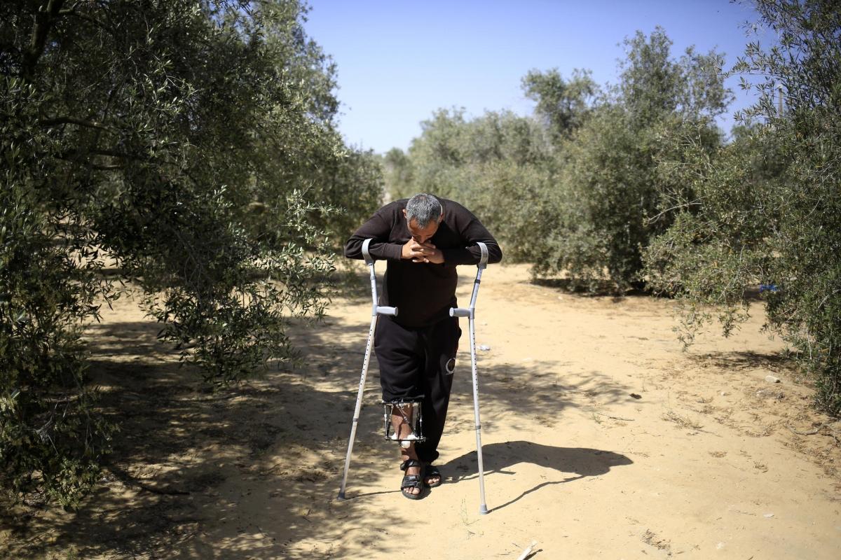 Ahmed, 38 ans, blessé par balle par l'armée israélienne le 14 mai 2018, ici avec ses enfants dans les vergers de sa ferme située à Rafah, dans le sud de la bande de Gaza. Mai 2019.
 © Mohammed ABED